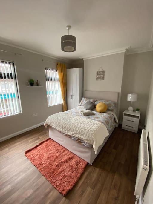 The Cozy Homestay Belfast Eksteriør billede